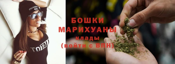 дмт Белокуриха