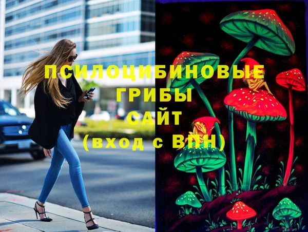 дмт Белокуриха