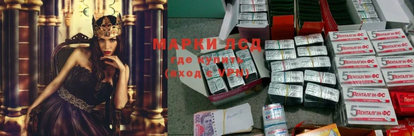 дмт Белокуриха
