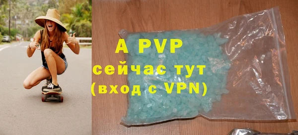 дмт Белокуриха