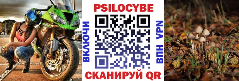 Псилоцибиновые грибы Cubensis  мега зеркало  Невель 